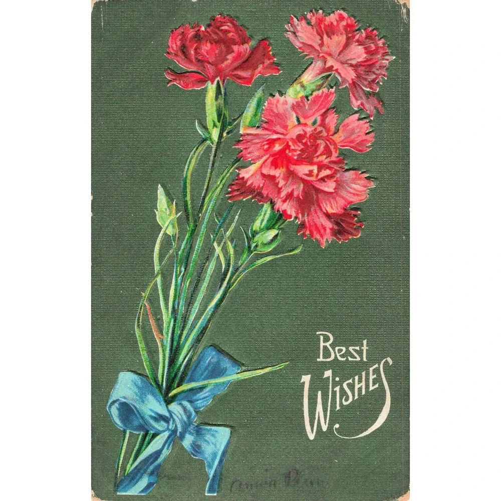 Vintage 1909 Red Carnations Embossed Postcard Best Wishes Germany Printed VG-